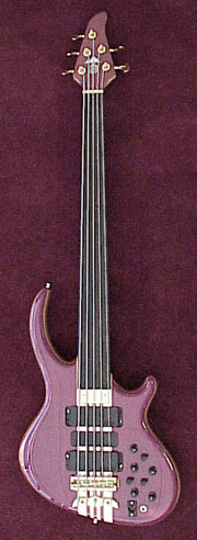 Susan's 5-string