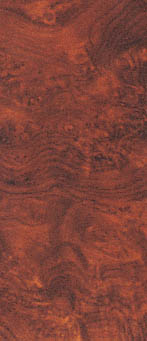 burl rosewood