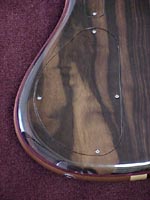 ET Backplate