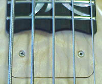 truss rod cover